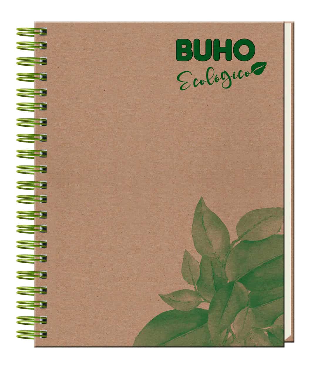 Transforma tu Estilo de Vida: La Revolución Ecológica Comienza en tu Escritorio