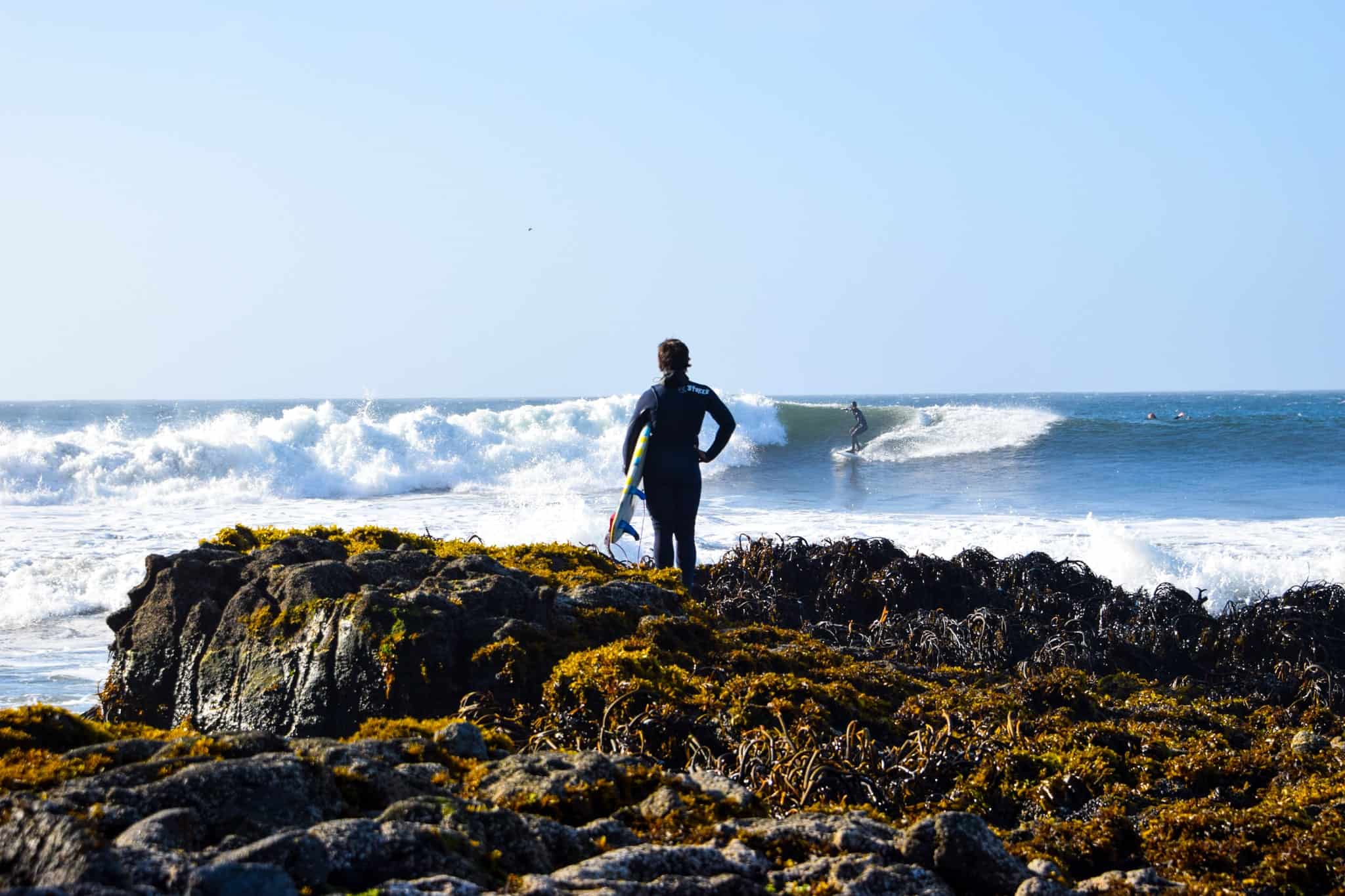 Clases y talleres trendy en Chile